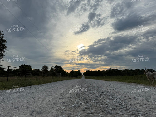 Rural Road 228022