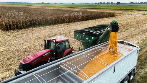Corn Harvest 191272