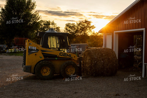 Skidloader Moving Stalk Bales 305015