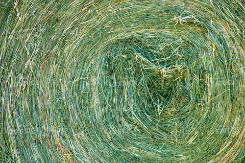 Hay Bale 214043