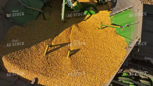 Corn Harvest 92087