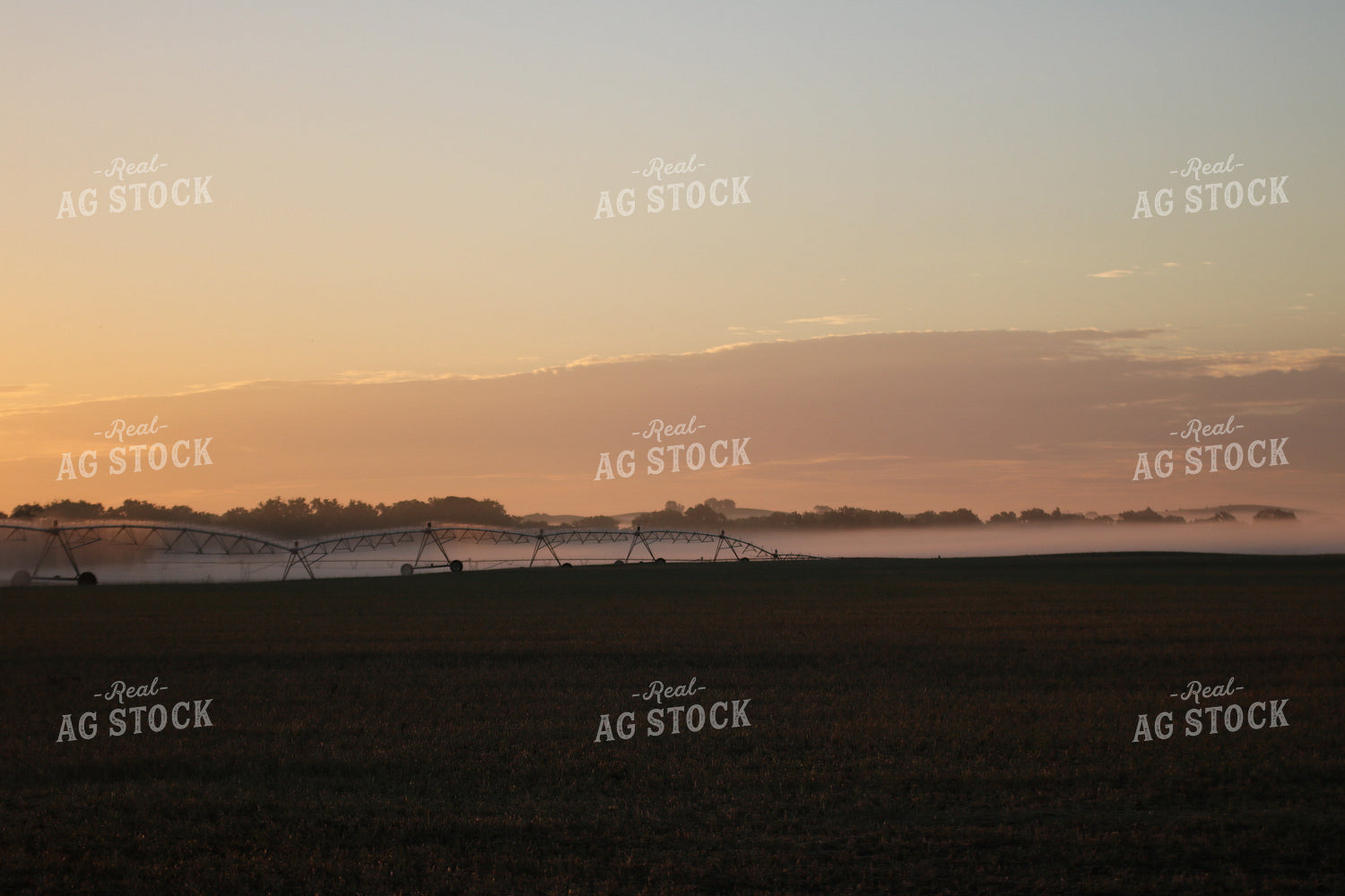 Irrigation System 82003