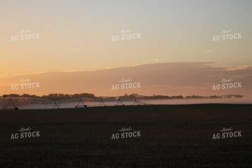 Irrigation System 82003