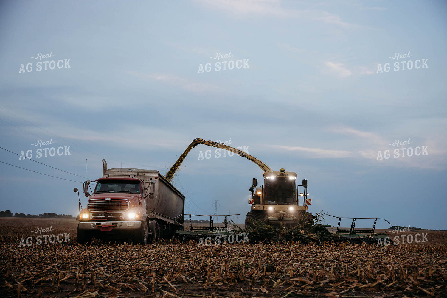 Chopping Corn Silage 152020