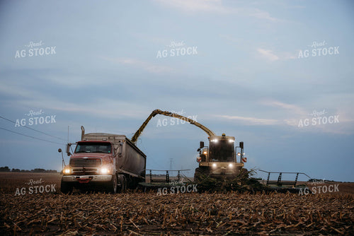 Chopping Corn Silage 152020