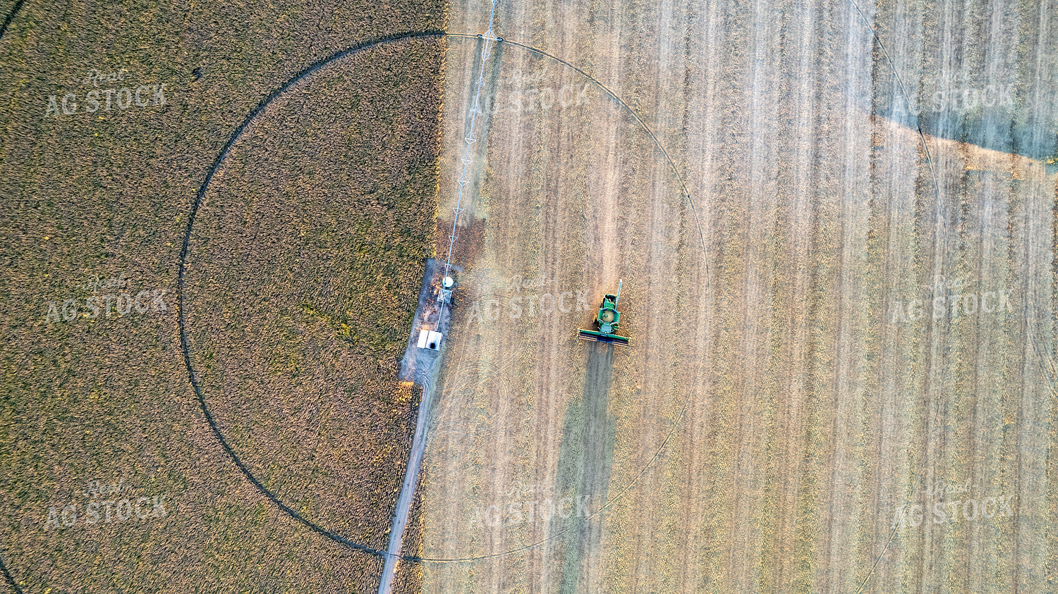 Soybean Harvest 65254