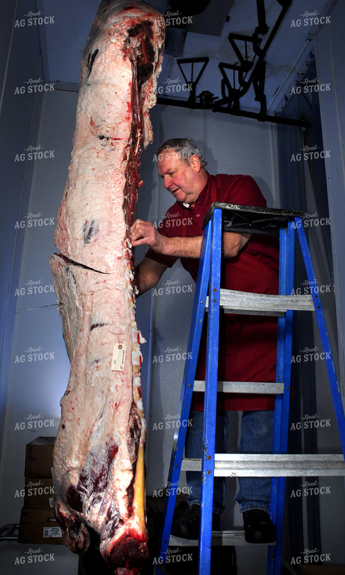 Processing Beef 154112