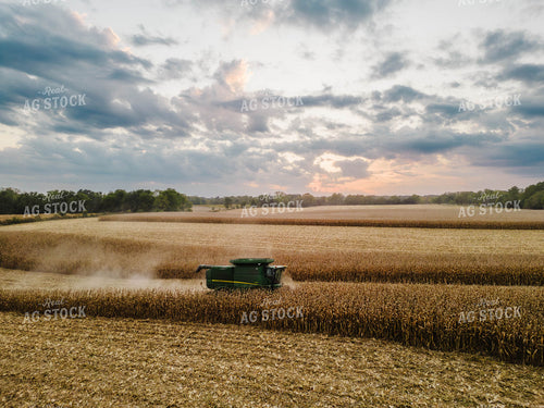 Corn Harvest 115112
