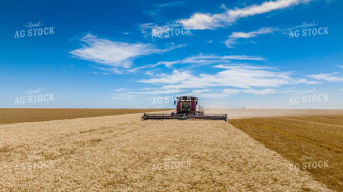 Wheat Harvest 199039