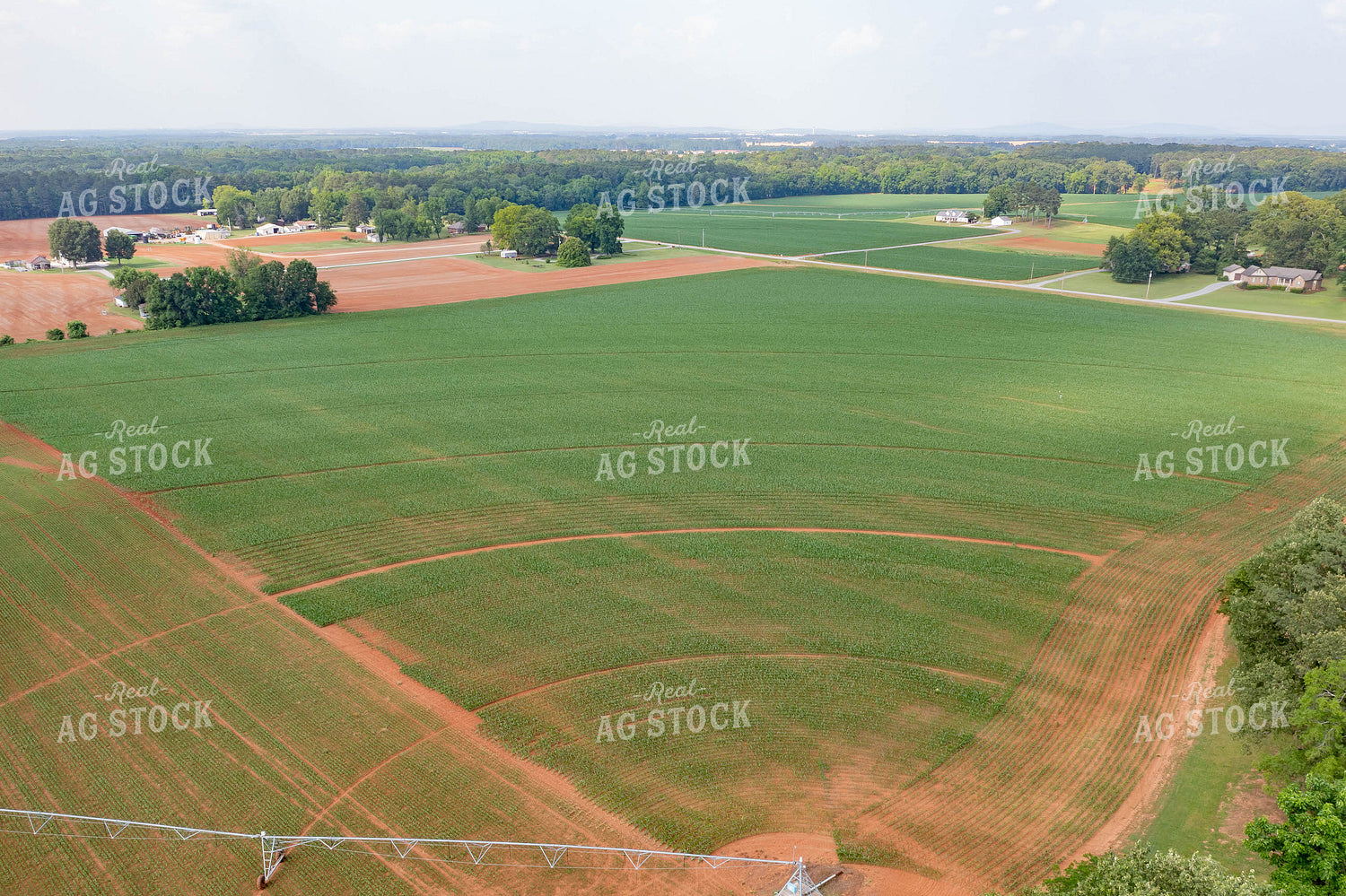 Aerial View of Pivot Irrigated Corn Field 79305