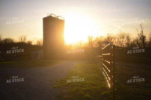Sunset on the Farm 191024
