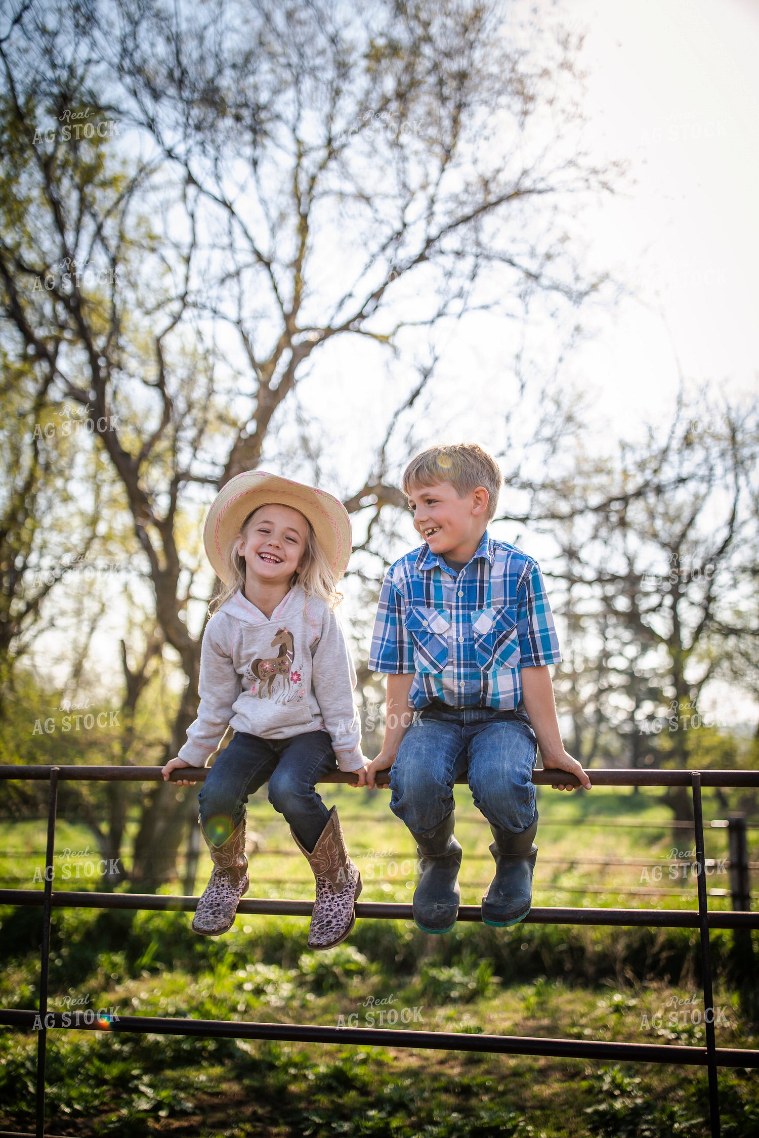 Ranch Children on Farm 285041