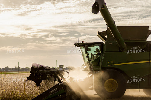 Soybean Harvest 93335