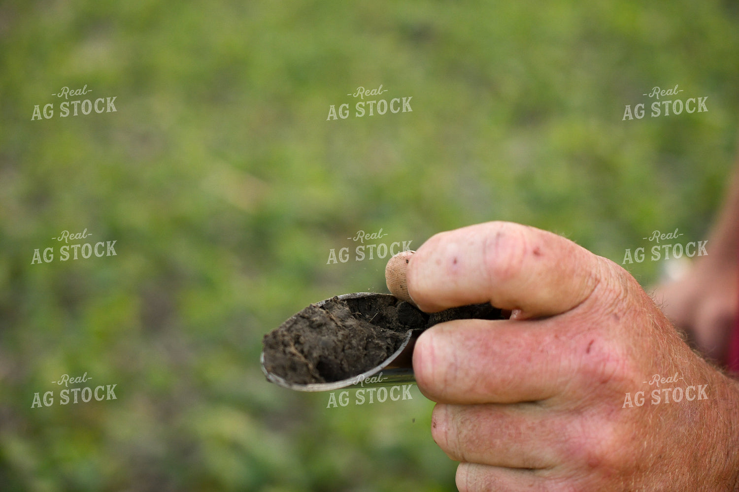 Soil Sampling 191215