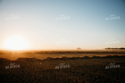 Cut Wheat Straw 152179
