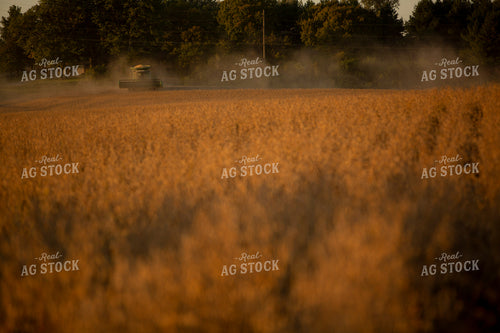 Soybeans - Dry 1554