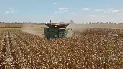 Corn Harvest 92079