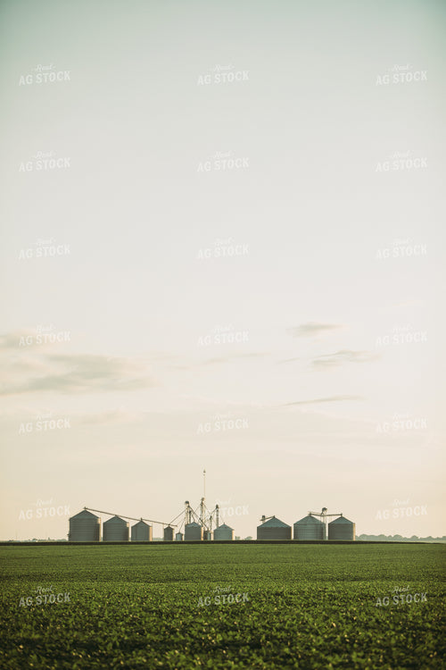 Grain Bins Over Corn and Soybean Field 6067
