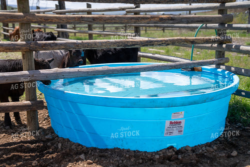 Bright Blue Water Trough with Cattle in a Rustic Farm Setting 65292