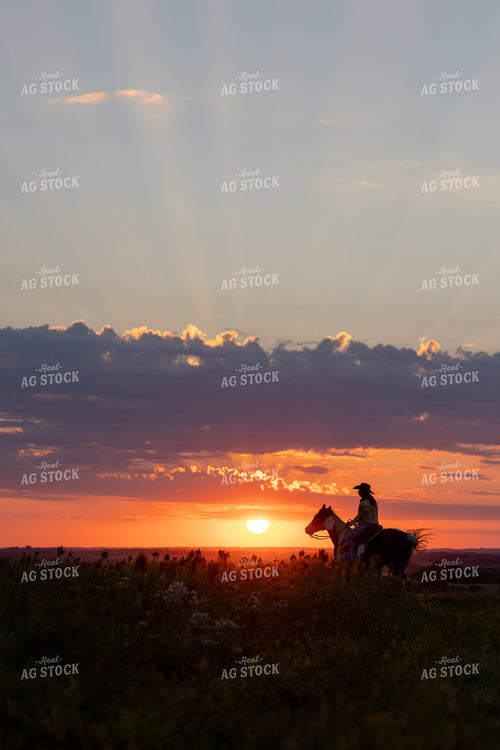 Cowgirl on Horseback 250062
