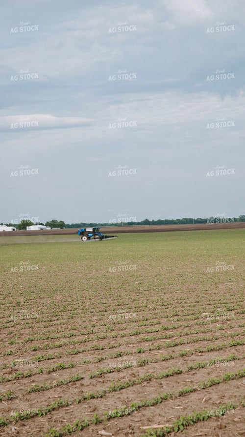 Self-Propelled Sprayer Applying Crop Protection to Early-Growth Soybean Field 401034