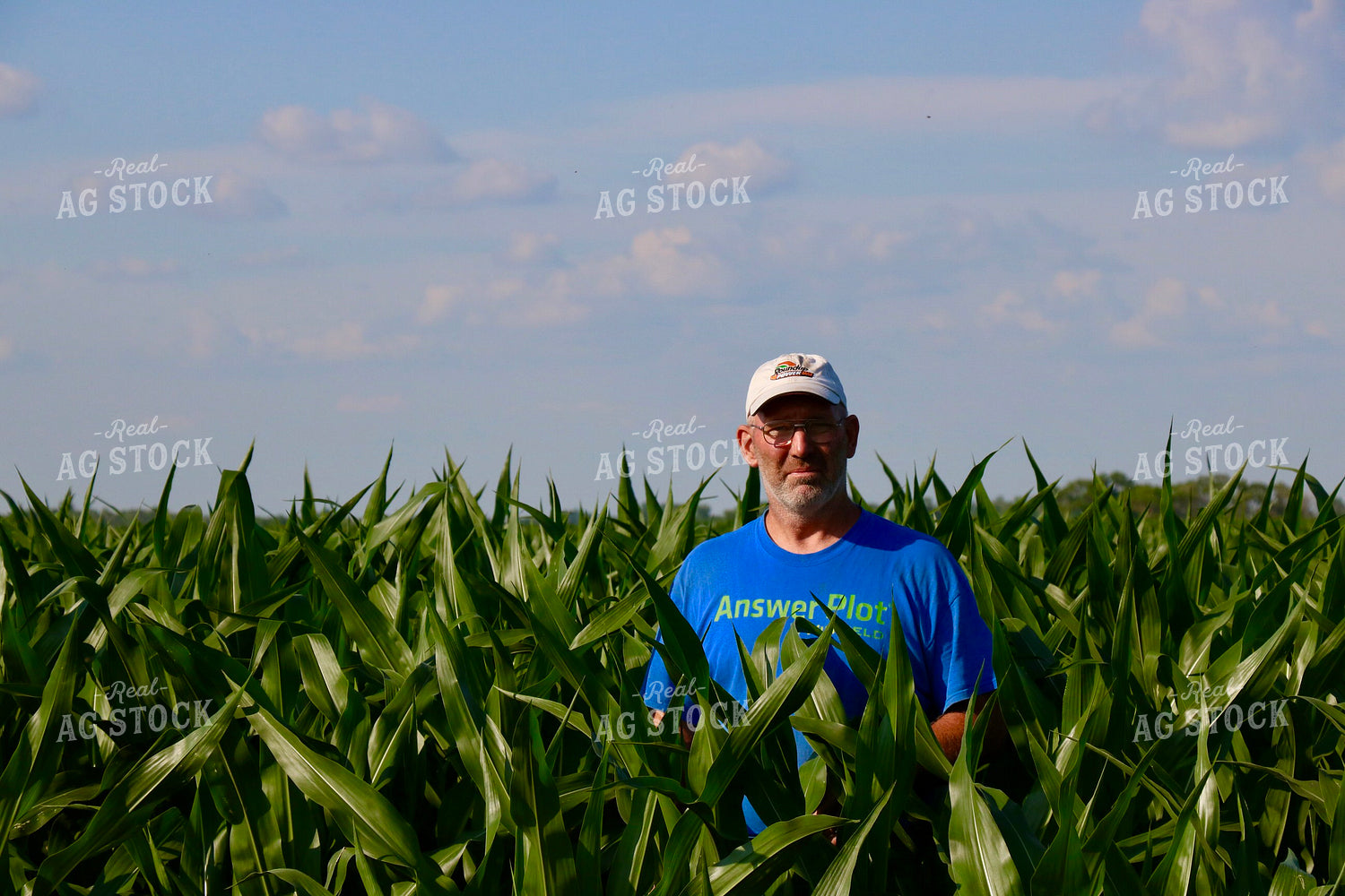 Farmer Checking Mid-Season Corn 299202