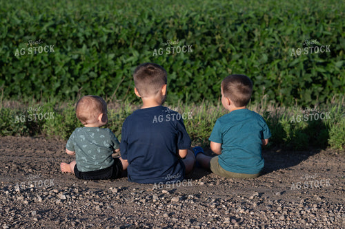Farm Kids on Country Road 185007