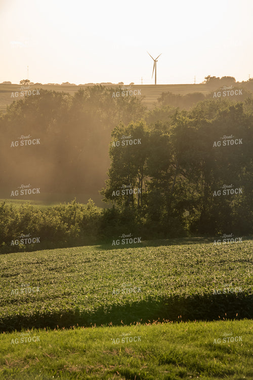 Scenic Summer Views 76467