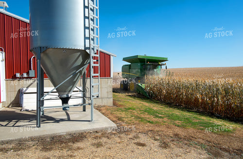Corn Harvest 154025