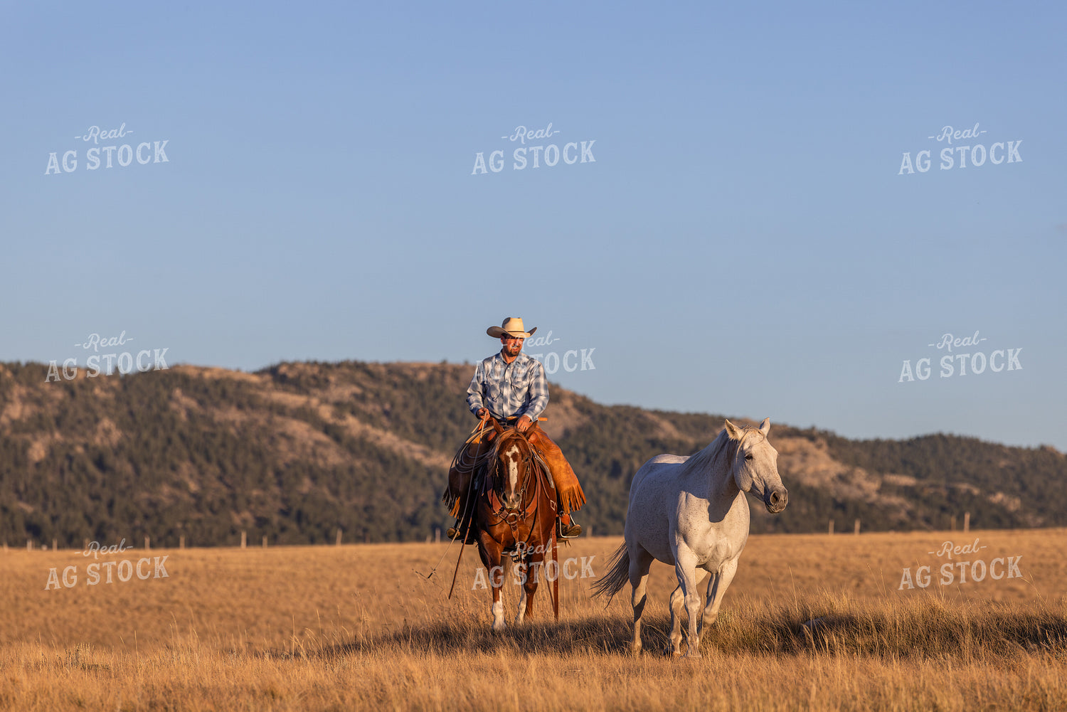 Cowboy on Horseback 290016