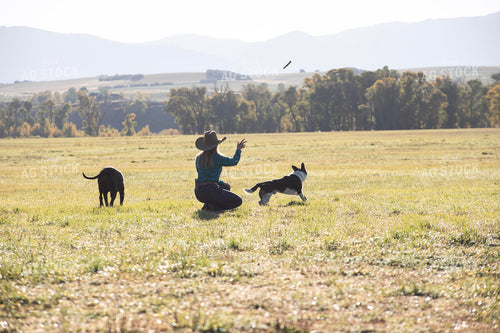 Female Rancher with Ranch Dog 117117