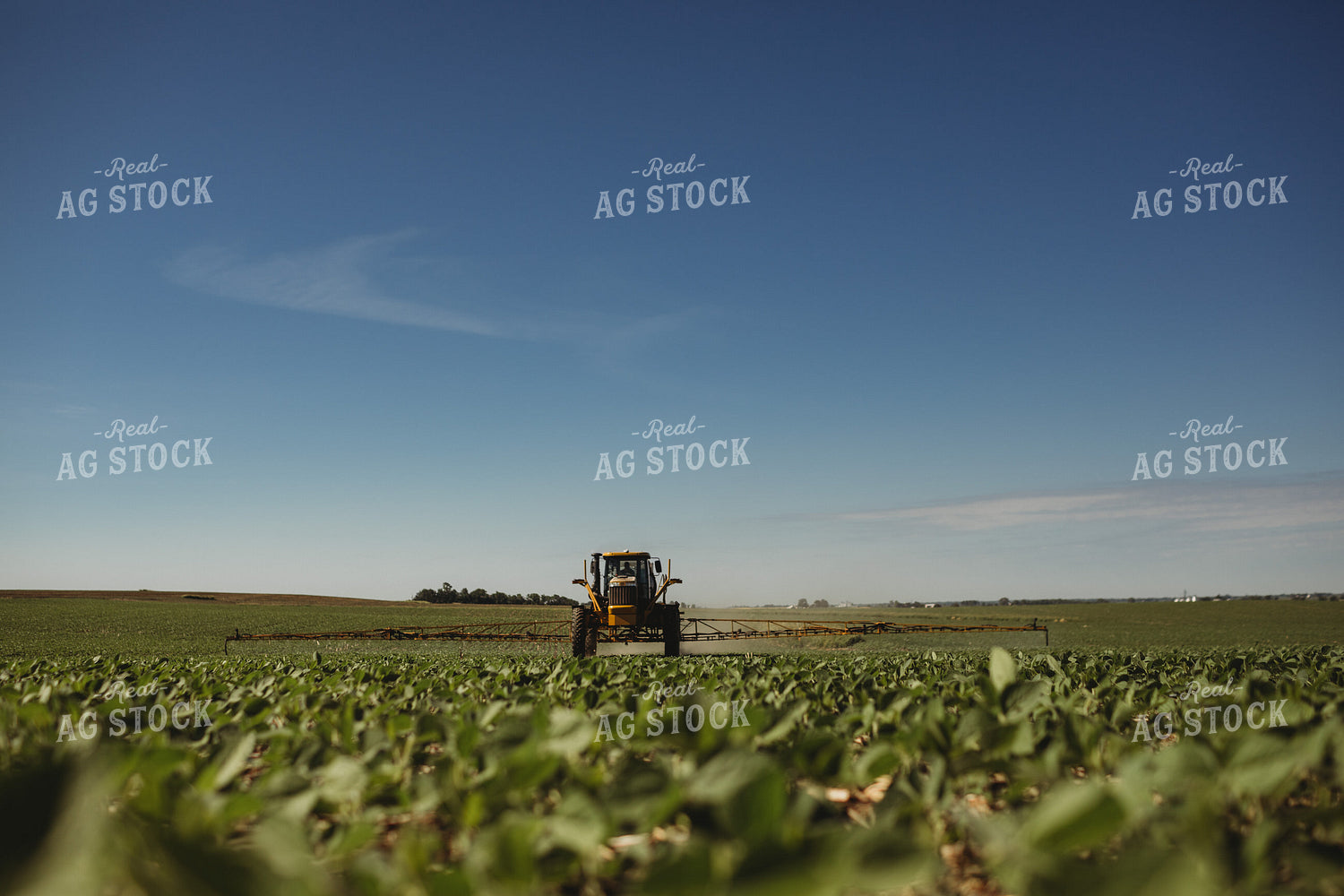 Spraying Soybeans 4391
