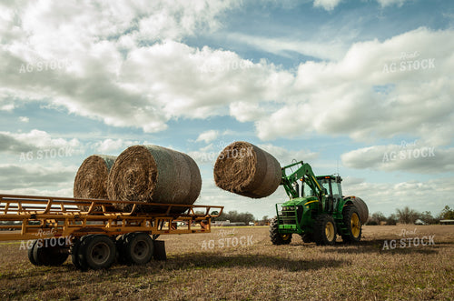 Loading Hay Bales onto Trailer 59078