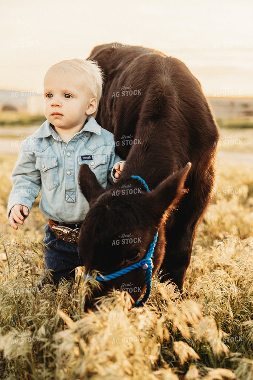 Farm Kid with Calf 61146