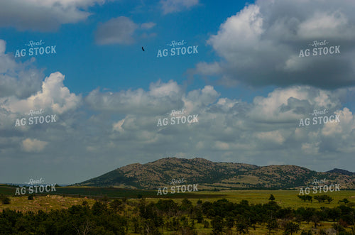 Scenic Pasture Landscape 283000