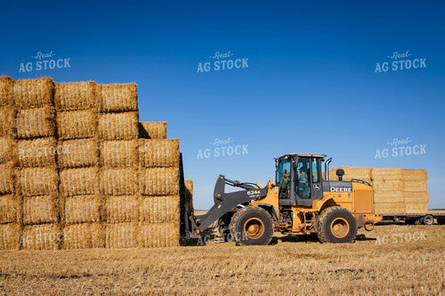 Stacking Wheat Straw Bales 152581