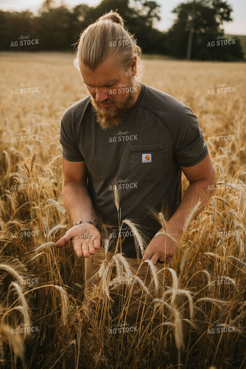 Farmer in Rye Field 5989