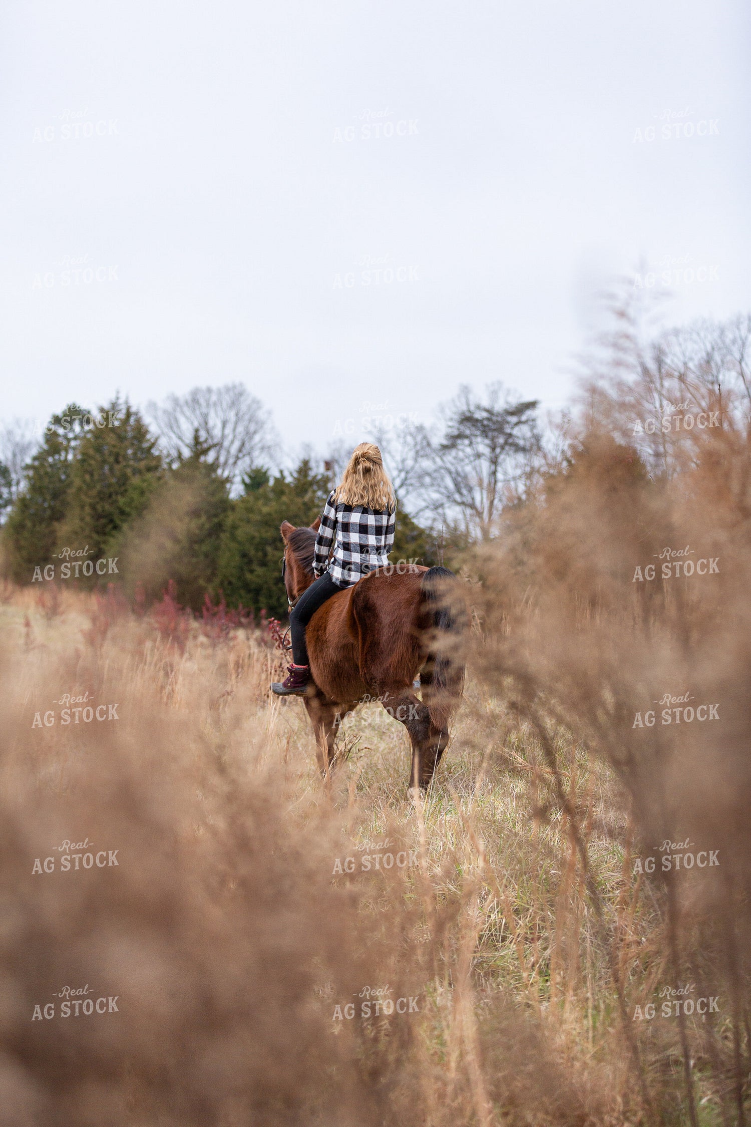 Woman on Horseback 165000