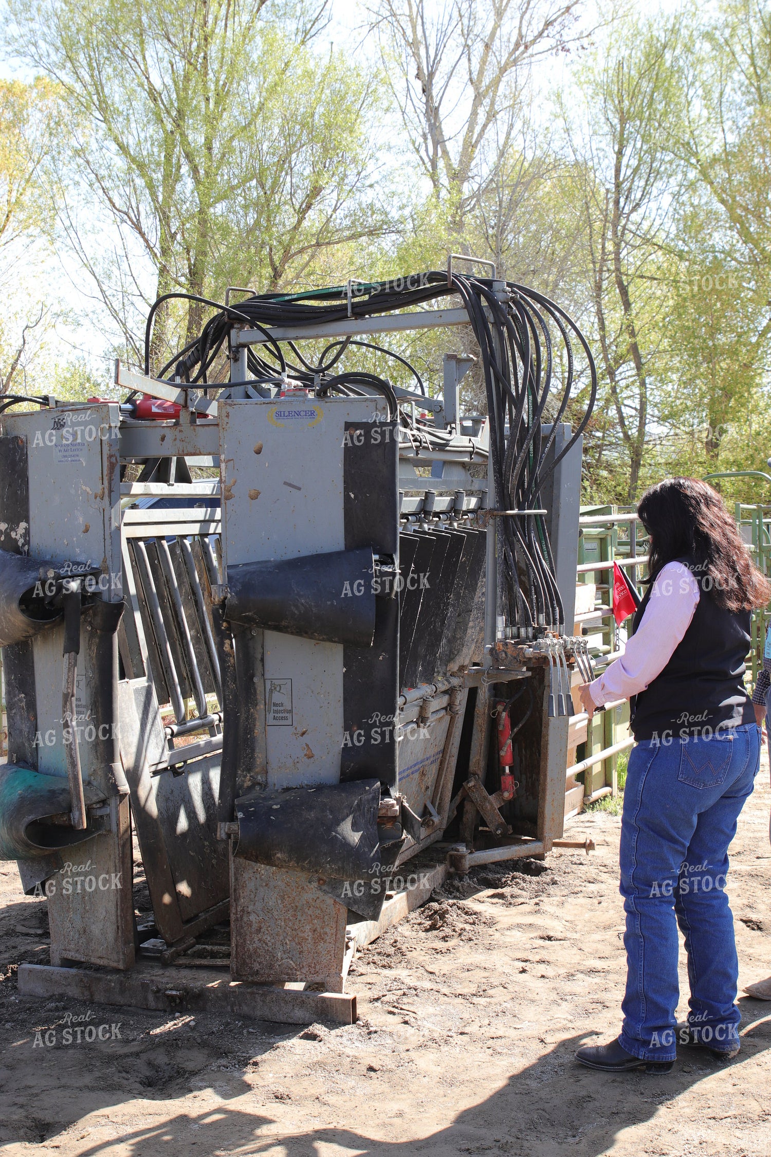 Female Rancher Working Cattle 102148