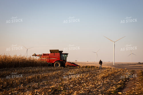 Farmer Walking to Combine 67976