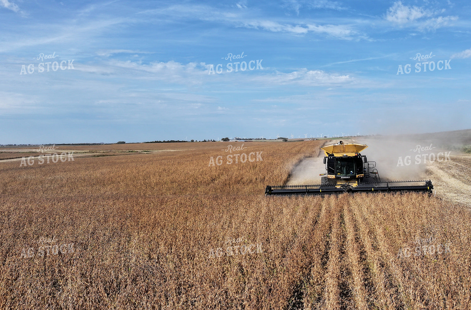 Soybean Harvest 141455