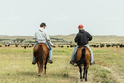 Ranchers on Horses in Cattle Pasture 114057