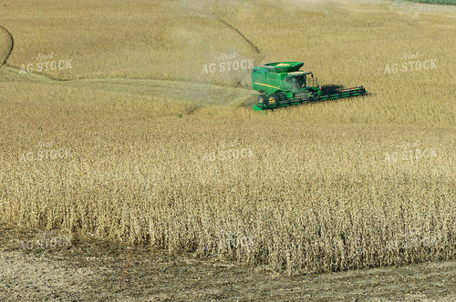 Soybean Harvest 156050