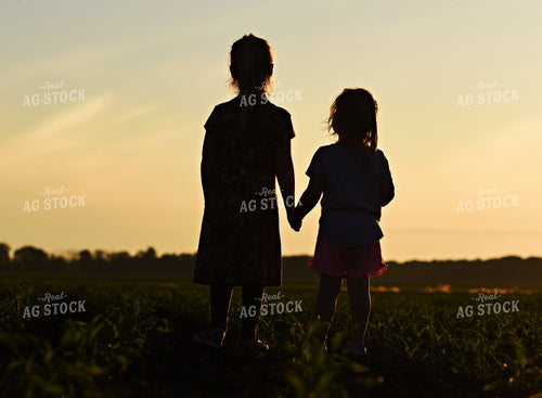 Farm Kid Stands in Corn Field 100033