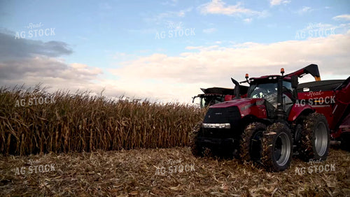 Combine Unloading Corn on the go into an Auger Wagon - 482