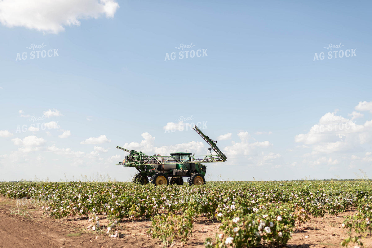 Spraying Cotton 59120