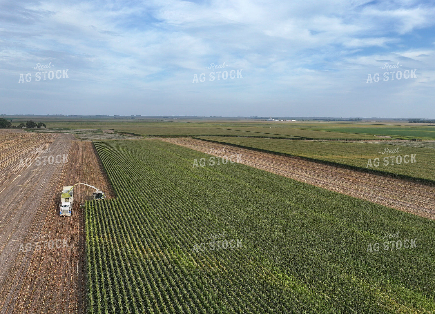 Aerial of Corn Silage Harvest 141390