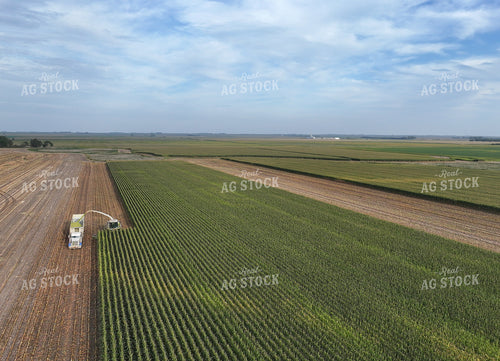 Aerial of Corn Silage Harvest 141390
