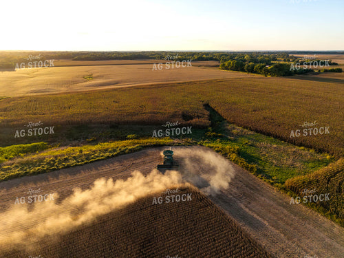 Soybean Harvest 115841