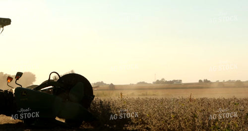 Combine Harvesting Soybeans 5379